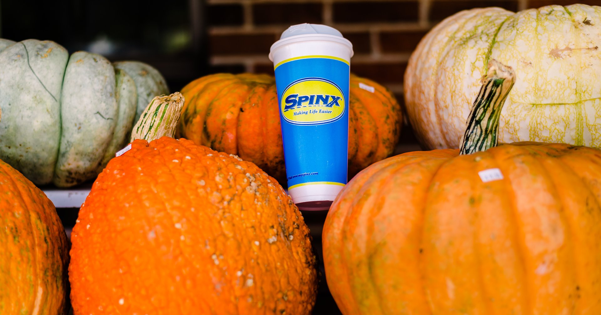 Spinx Making Life Easier in SC